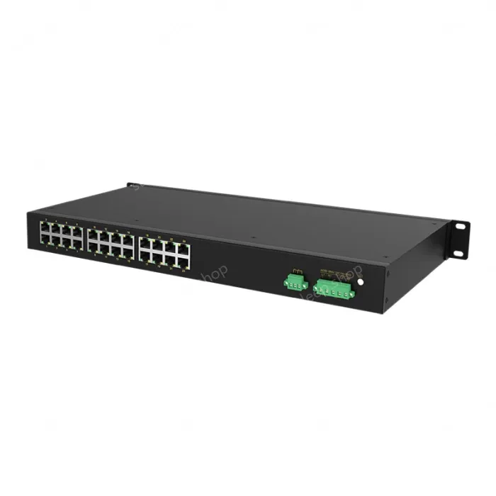 [100 Gigabit 24 Port]] managed industrial switch