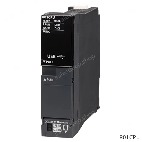 R01CPU