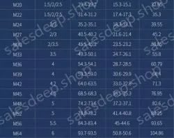 M5 100 capsules 304 stainless steel nut anti-locking